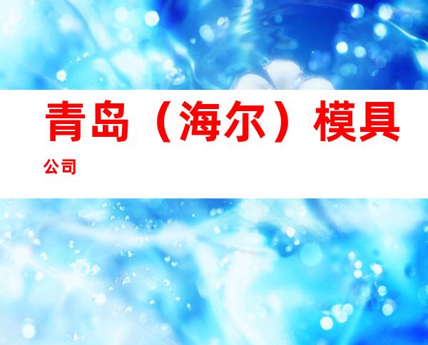 青岛（海尔）模具公司